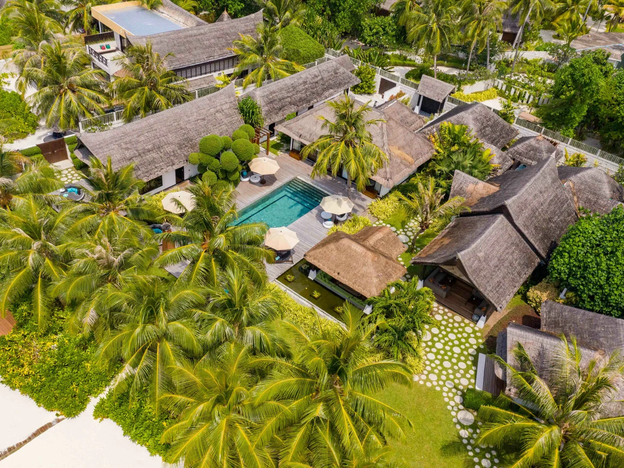 OZEN RESERVE BOLIFUSHI 42