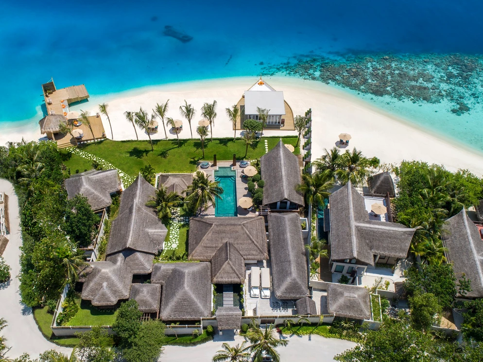 OZEN RESERVE BOLIFUSHI 7