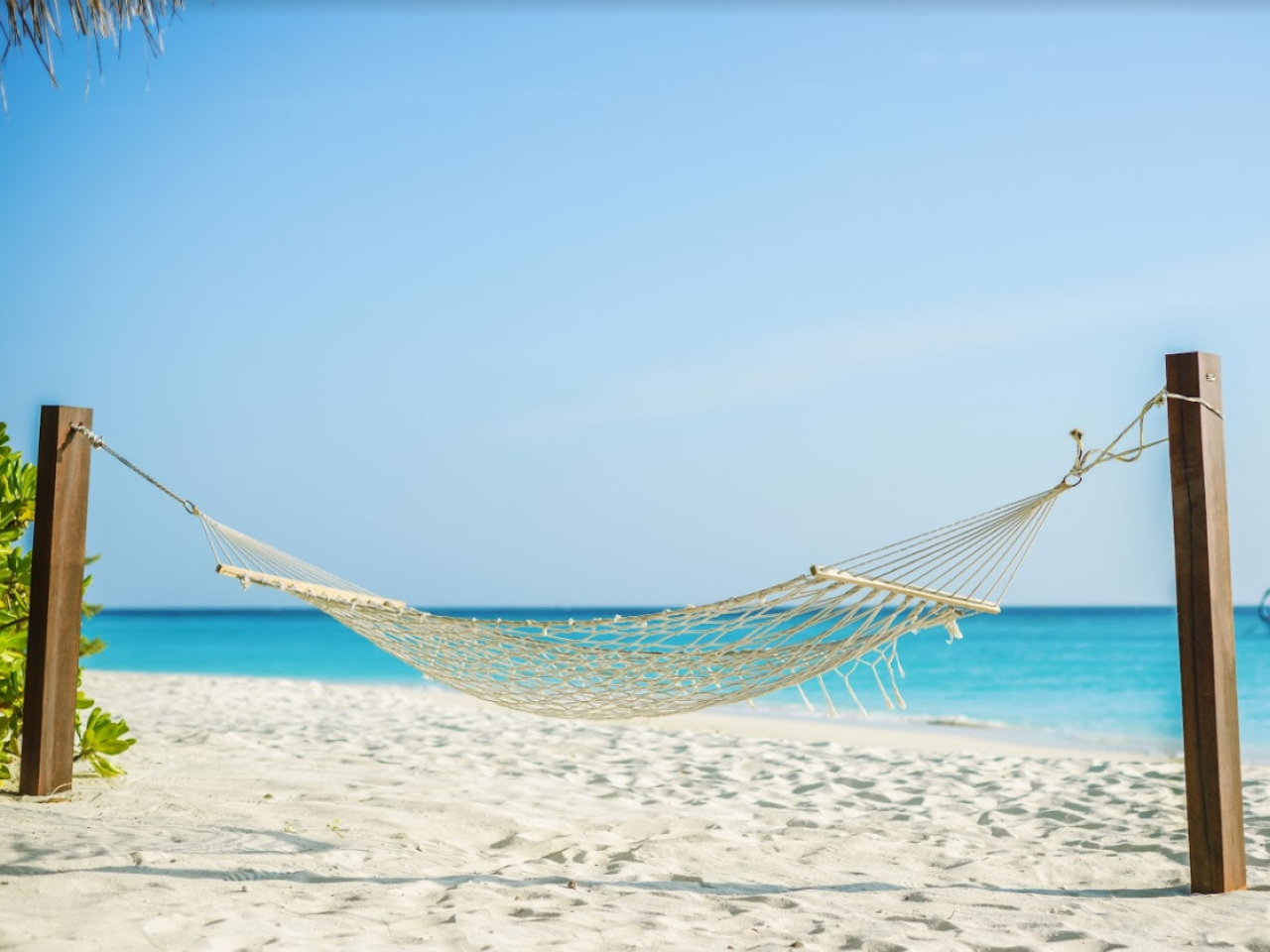 Palm Beach Island Resort & Spa 1