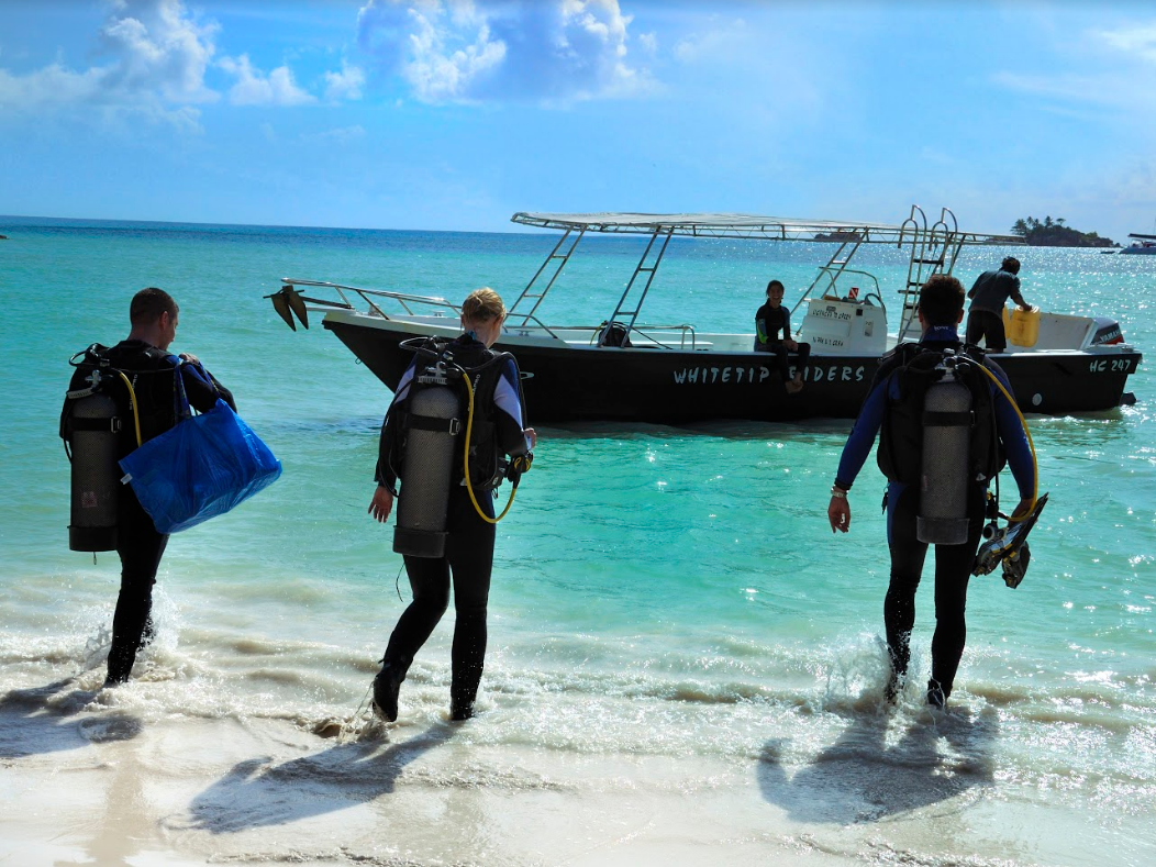 Paradise Sun Hotel 2