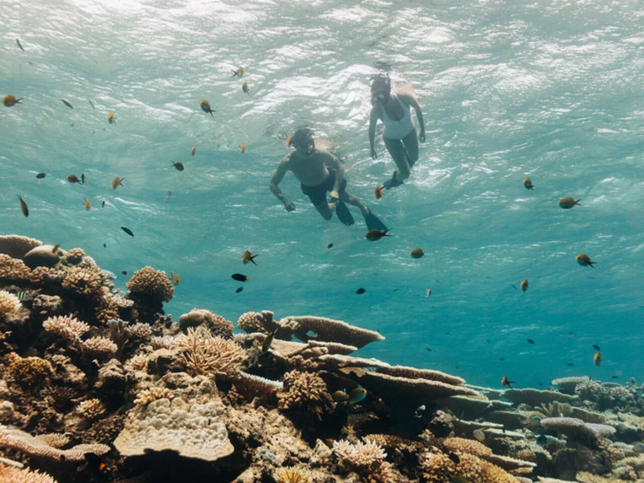 Park Hyatt Maldives Hadahaa 9