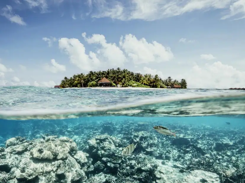 صورة: Robinson Club Maldives
