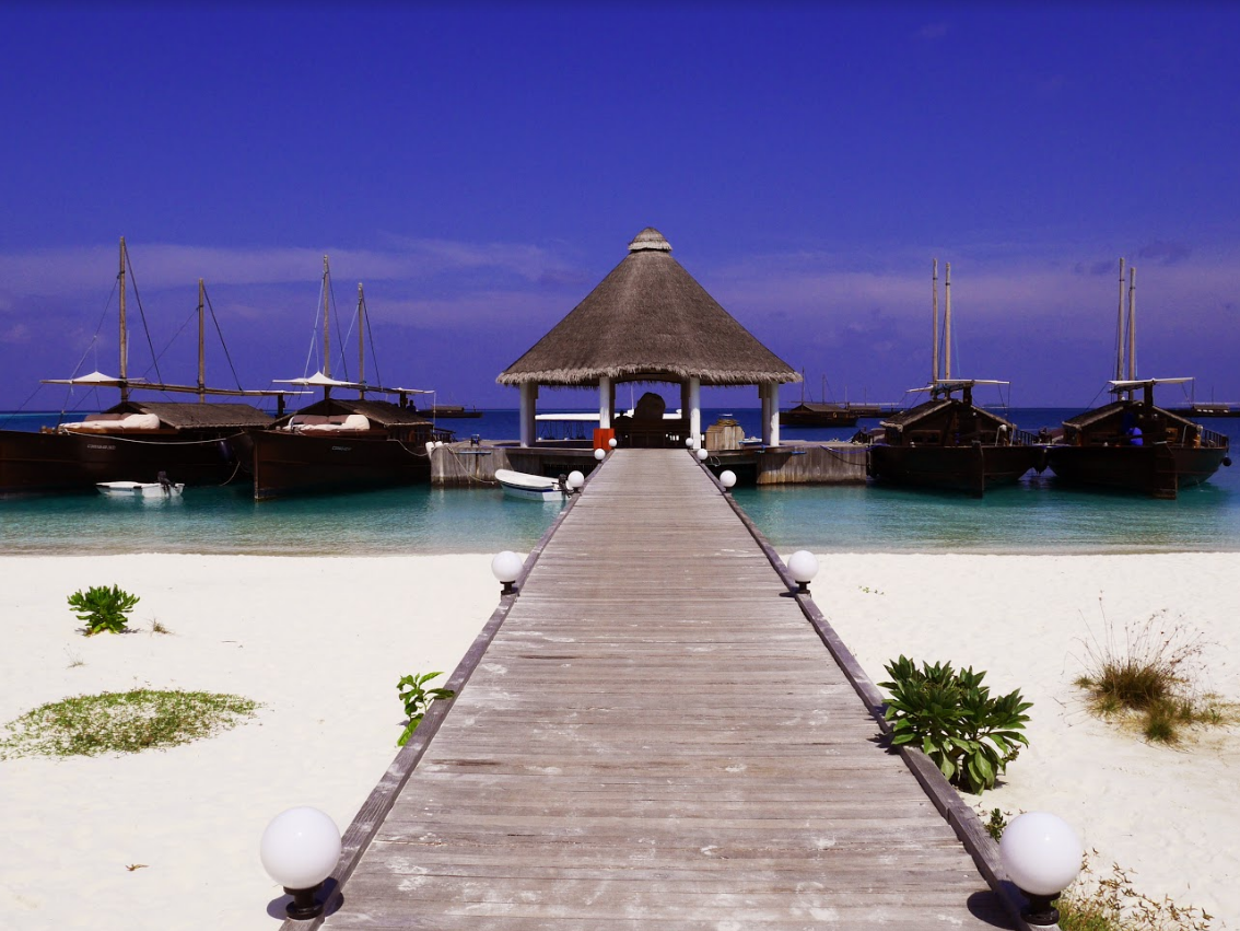 Safari Island Resort & Spa 6