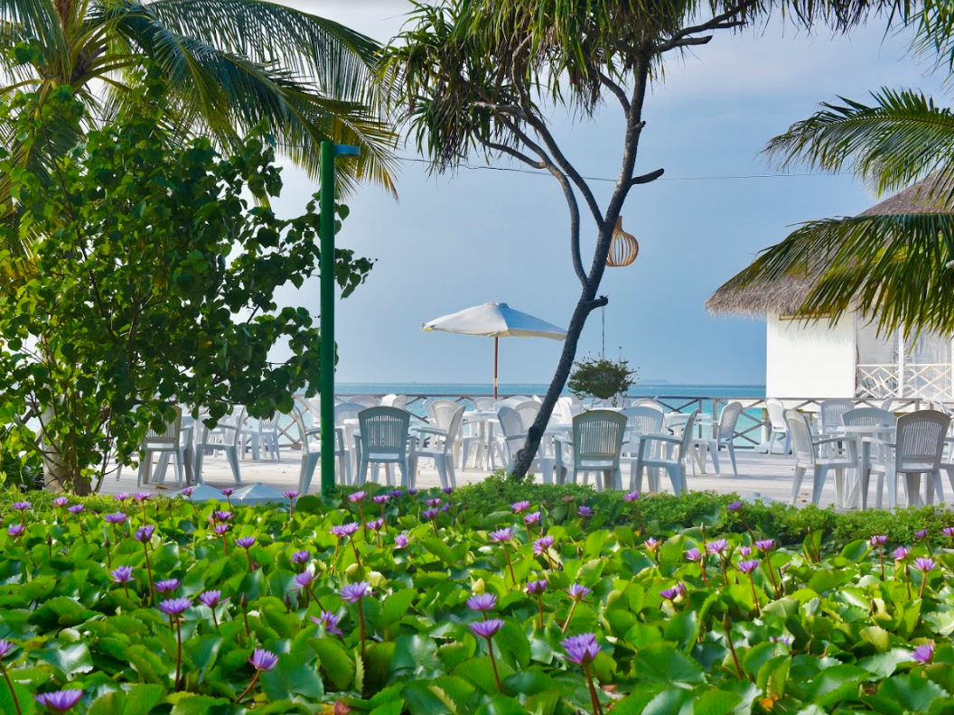 Safari Island Resort & Spa 9