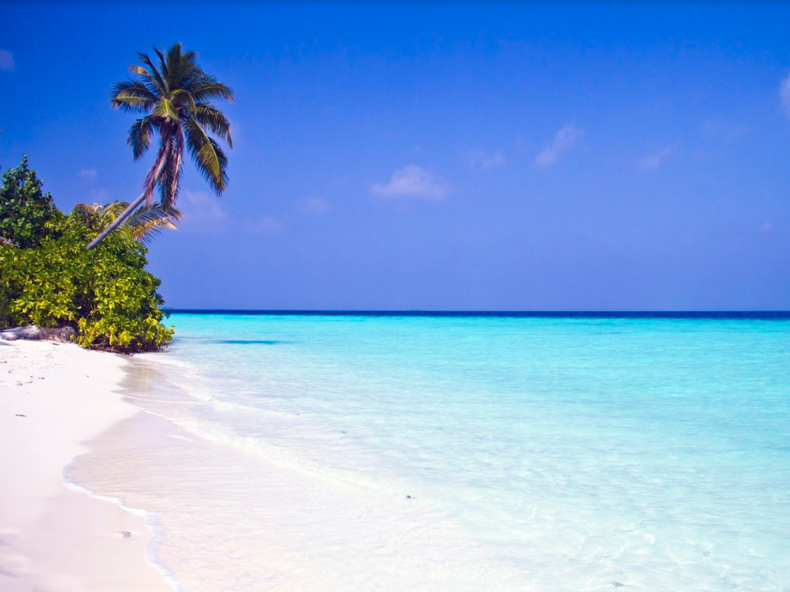 Safari Island Resort & Spa 5