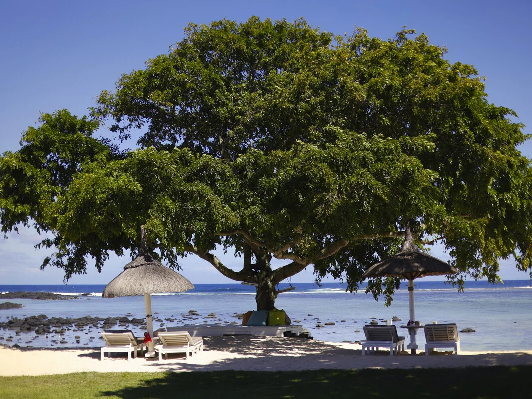 Shanti Maurice Resort & Spa 6