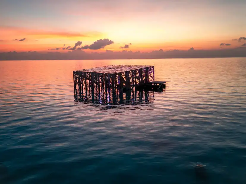 صورة: Sirru Fen Fushi - Private Lagoon Resort