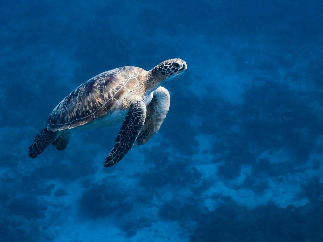 Six Senses Kanuhura 19