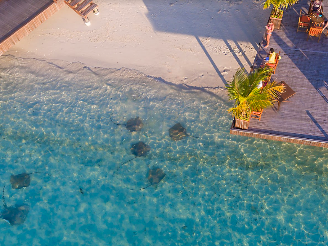 Sun Siyam Vilu Reef 3
