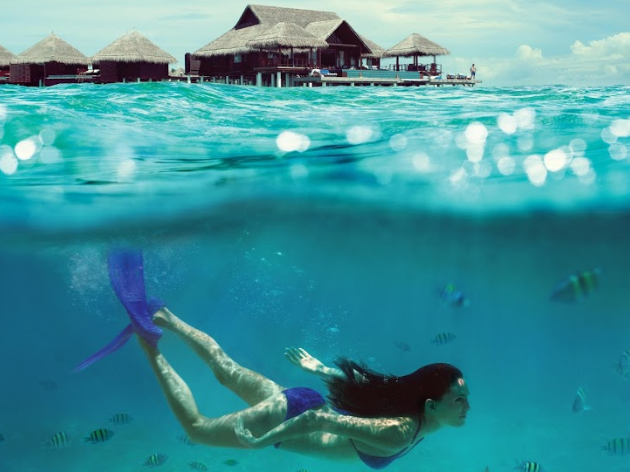 Taj Exotica Resort & Spa 14