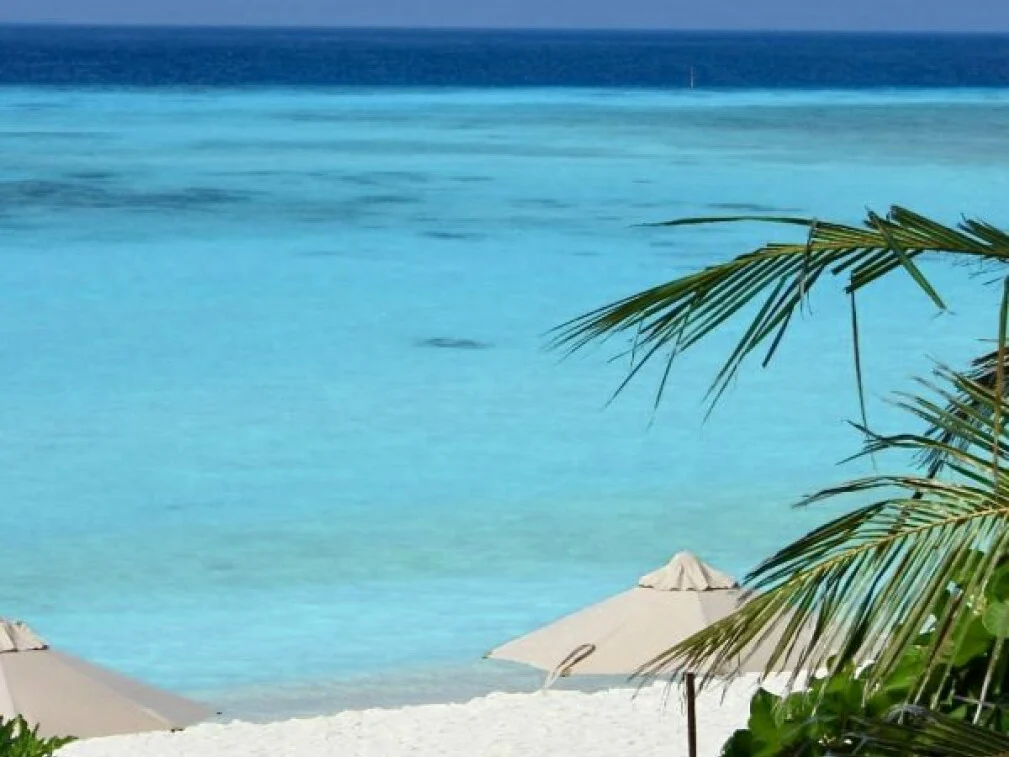 The Barefoot Eco Hotel 17