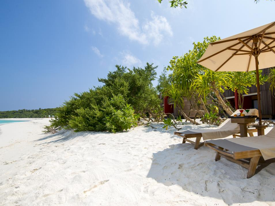 The Barefoot Eco Hotel 10