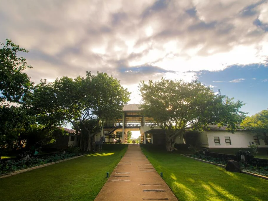 The Elephant Corridor 1