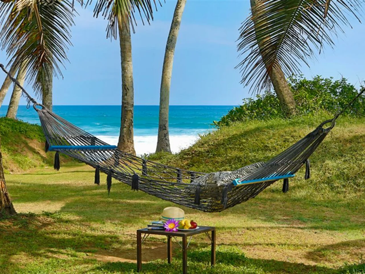 The Frangipani Tree 2