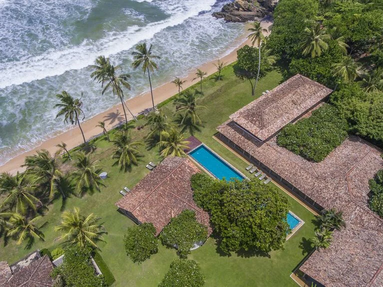 The Frangipani Tree 3