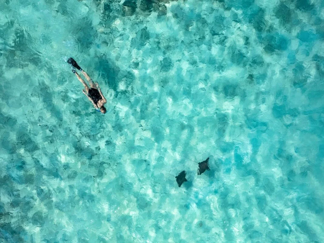 The Nautilus Maldives 16