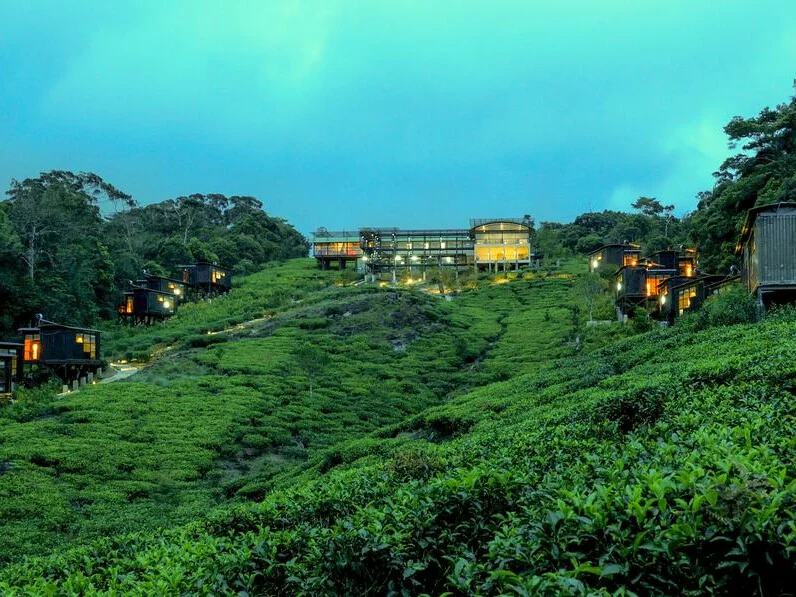 The Rainforest Ecolodge 2