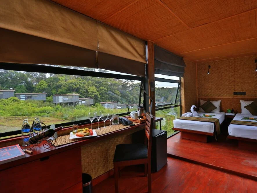 The Rainforest Ecolodge 1