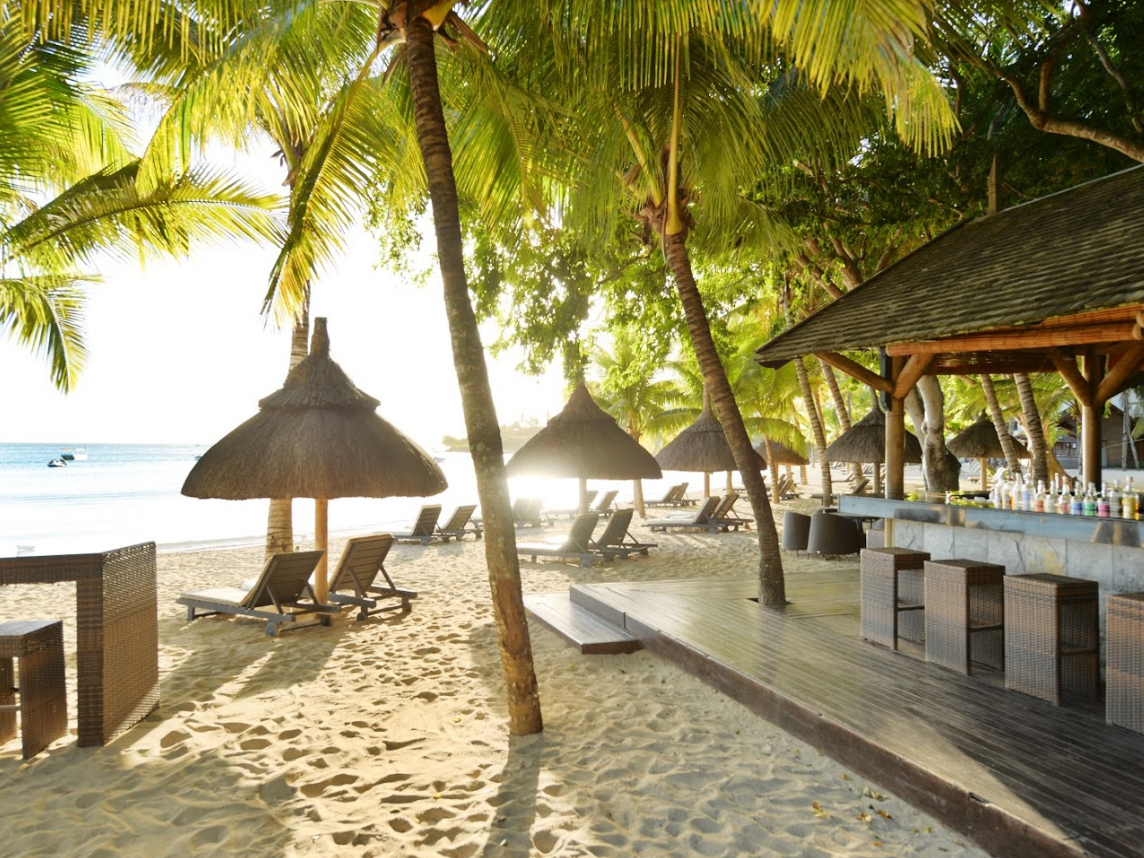 The Ravenala Attitude 2