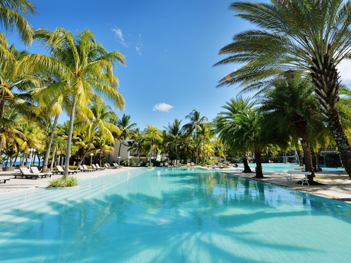 The Ravenala Attitude 1