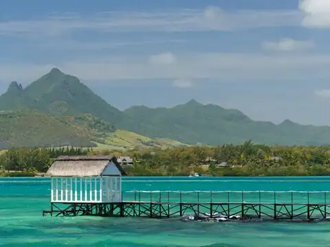 صورة: Tropical Attitude