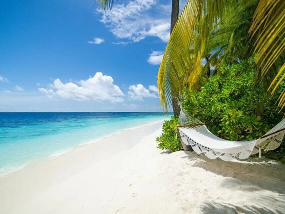 V Villas Maldives at Mirihi 11
