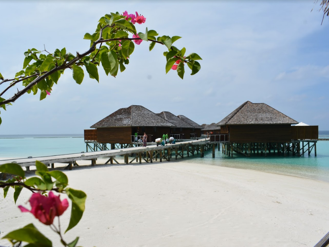 Vakarufalhi Maldives 9