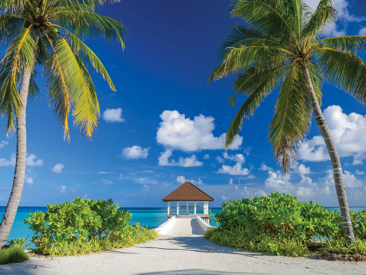 Varu by Atmosphere 10