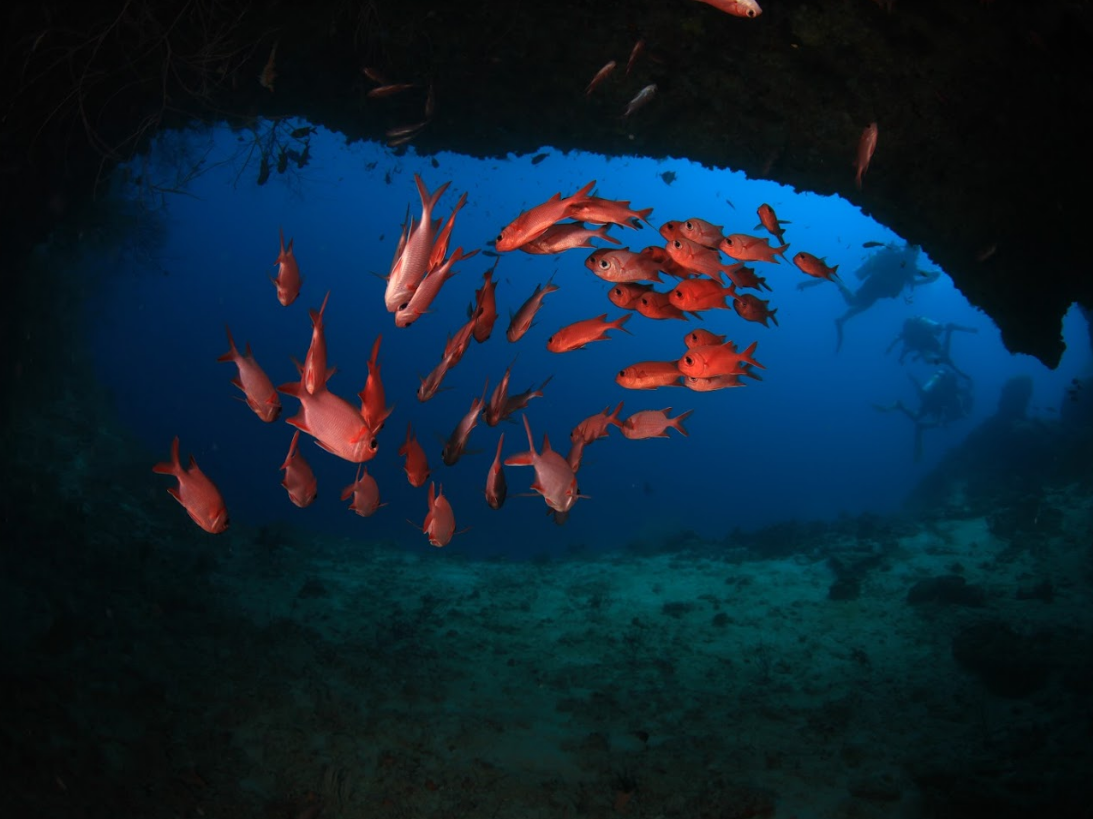 Veligandu Maldives Resort Island 6