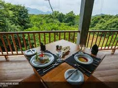 Wild Grass Nature Resort 5