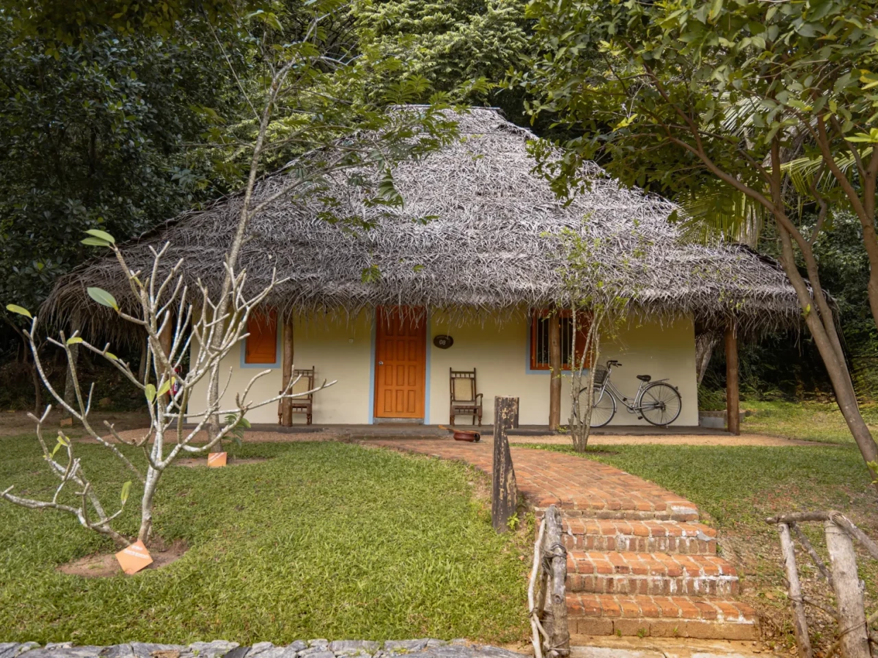 Amuna Holistic Ayurveda Retreat 1