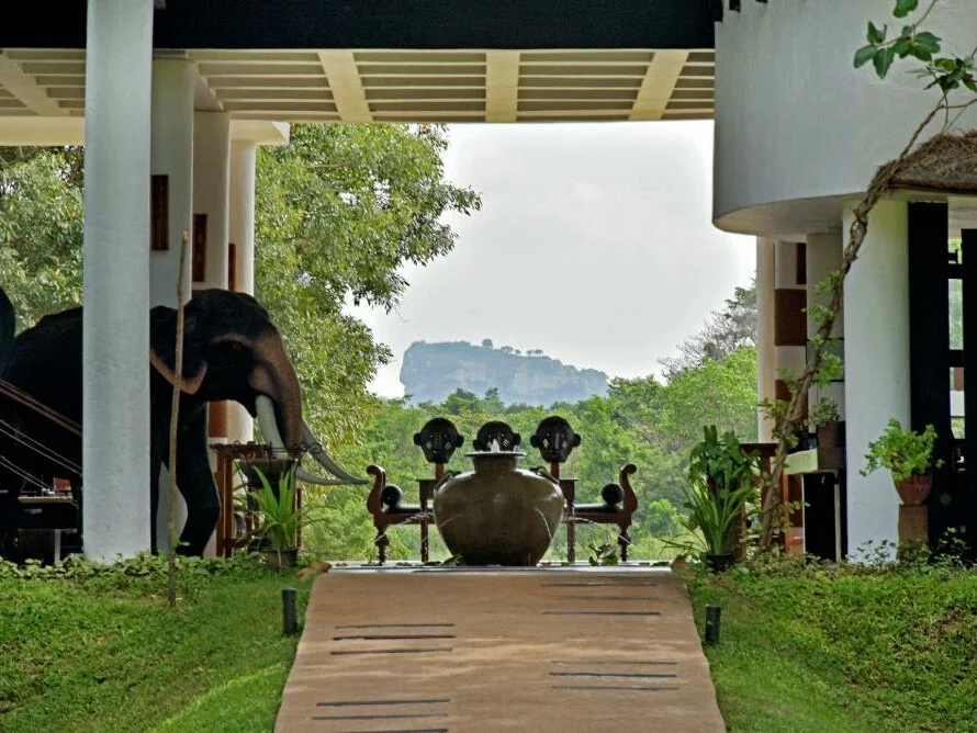 The Elephant Corridor 3