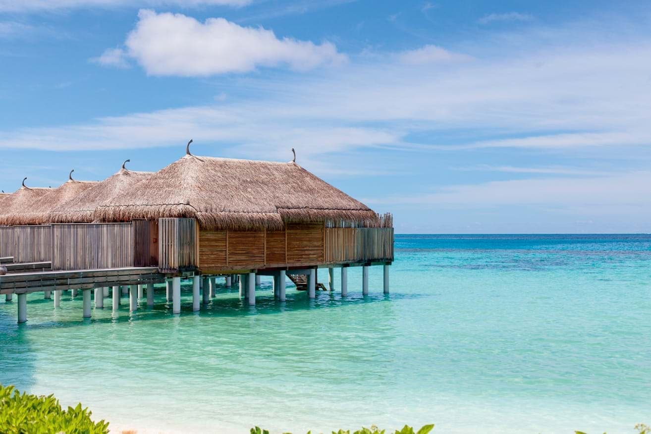 Constance Moofushi 21
