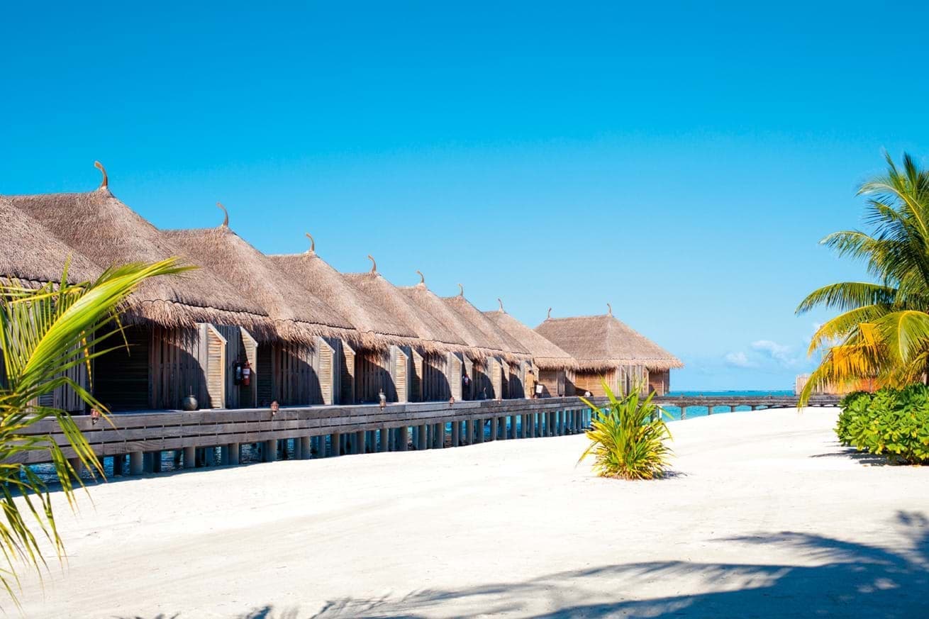 Constance Moofushi 20