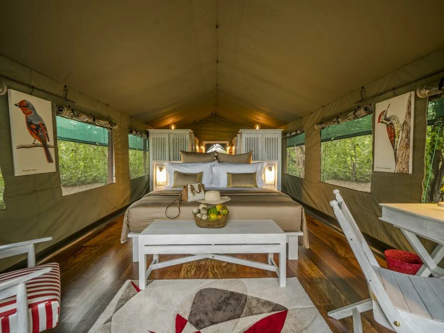 Flameback Eco Lodge 2