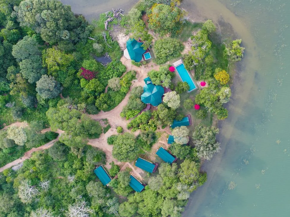 Flameback Eco Lodge 1