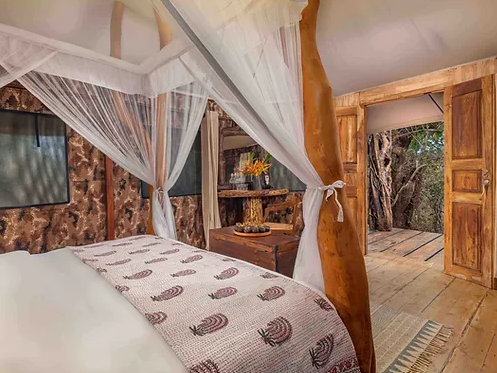 Leopard Safaris Yala 1